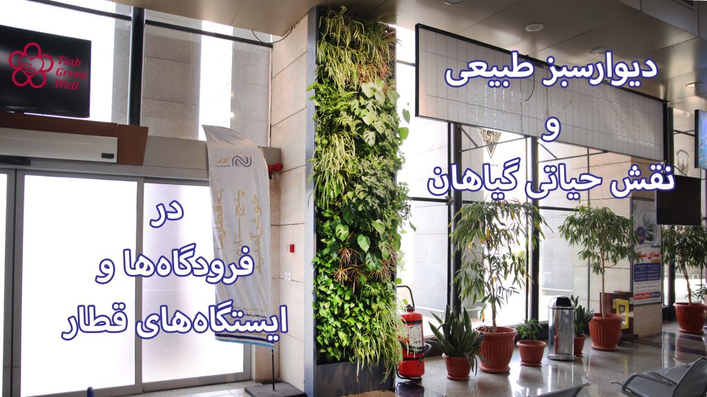 اثر مثبت دیوارسبز طبیعی